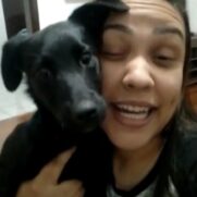 Cachorro porte medio para adoção em São Paulo - São Paulo