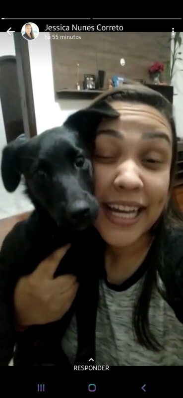 Cachorro Médio para adoção em São Paulo - São Paulo